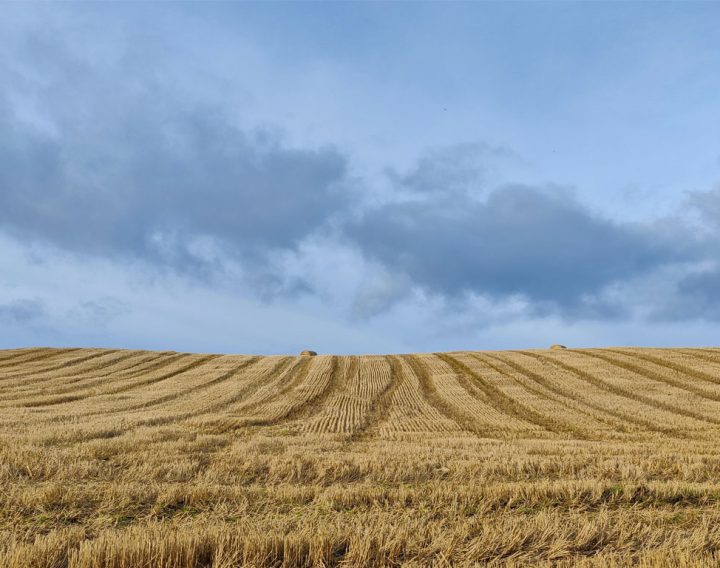 A photo of a field in the British countryside